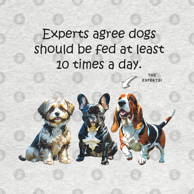 Experts agree dogs should be fed at least 10 times a day - funny watercolour doggie designs by DawnDesignsWordArt